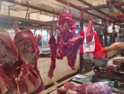 Jangan Sampai Tertipu, Perbedaan Daging Sapi dan Kambing yang Harus Diketahui