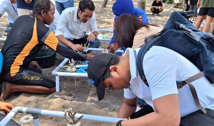 Pengembangan Terumbu Karang di Bangsring Underwater Banyuwangi untuk Keindahan yang Lebih Baik