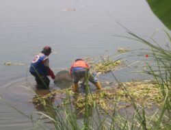 Laki-laki Meninggal Ditemukan Mengapung di Sungai Dekat Jembatan Lama Ploso Jombang