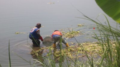 Laki-laki Meninggal Ditemukan Mengapung di Sungai Dekat Jembatan Lama Ploso Jombang