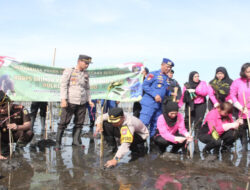 Polres Situbondo Memasang 1000 Bibit Pohon Mangrove dalam Perayaan HUT Korps Brimob dan Polairud