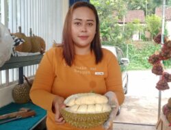 Durian Lokal Wonosalam dengan Citra Rasa Khasnya Sangat Diminati oleh Pembeli