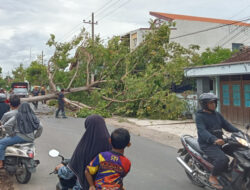 Jalur Penghubung Antarkecamatan di Magetan Terputus Akibat Pohon Tumbang