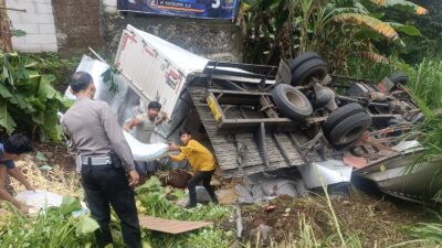 Truk Bermuatan Es Krim Asal Surabaya Terguling di Kebun Warga Purbalingga oleh Rem Blong