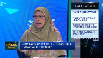 MUI mengungkap daftar tantangan dalam mencapai target wajib halal UMKM 2024