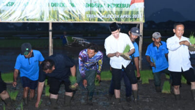 Pemkab Trenggalek Dihargai oleh Kementerian Pertanian karena Serius Meningkatkan Produksi Tanaman Pangan