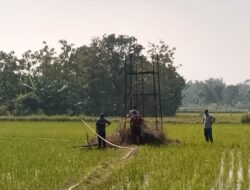 Kepala Desa Gombang Blora Meninggal di Sawah karena Diduga Tersengat Listrik dari Pompa Air