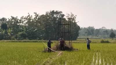 Kepala Desa Gombang Blora Meninggal di Sawah karena Diduga Tersengat Listrik dari Pompa Air