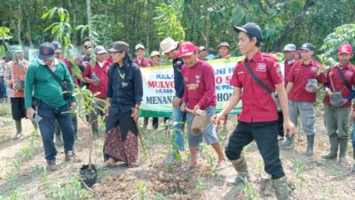 Petani di Hutan Blora Menanam Ribuan Pohon untuk Memberikan Oksigen kepada Dunia