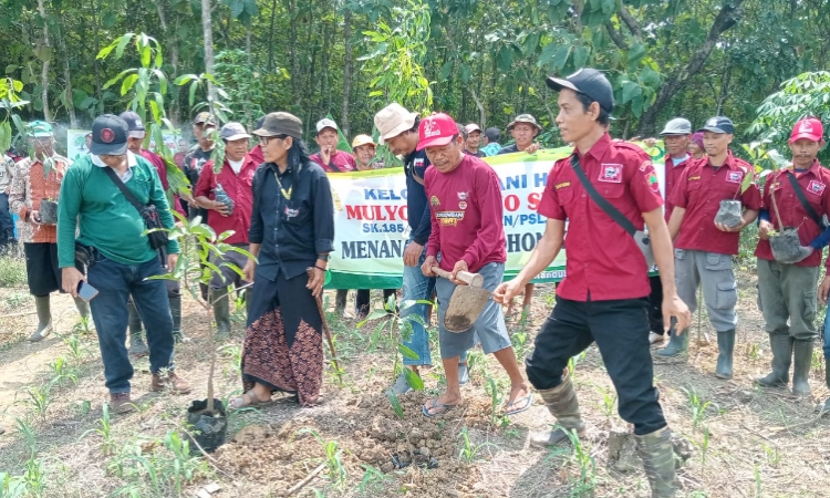 Petani di Hutan Blora Menanam Ribuan Pohon untuk Memberikan Oksigen kepada Dunia