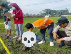 Petani di Ngawi menggunakan jebakan listrik untuk mengusir tikus, namun malah menewaskan tetangganya.