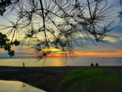 Pantai Firdaus Banongan Situbondo: Keindahan Alam dan Kesegaran Udara