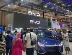 BYD Mobil Listrik China Terlaris di GIIAS 2024, Ini Jumlah Pembeliannya