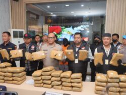 Polres Jakarta Utara berhasil menggagalkan peredaran ganja seberat 77 kilogram