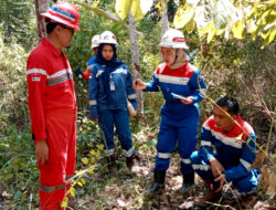 Investigasi tentang Kebun Karet yang Terkontaminasi Limbah, Pertamina dan KSO Formasi Sumatera Energi Terlibat dalam Perseteruan