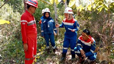 Investigasi tentang Kebun Karet yang Terkontaminasi Limbah, Pertamina dan KSO Formasi Sumatera Energi Terlibat dalam Perseteruan