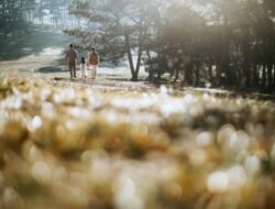 Peranan Orang Tua dalam Pembentukan Karakter Anak