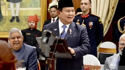 Prabowo Menyebut DNA India di Depan Presiden Murmu dan PM Modi