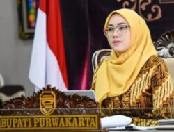 Koleksi Mobil Mantan Istri Dedi Mulyadi: Penemuan Terkait Suap