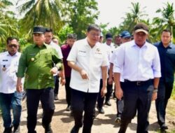 Raih Optimalisasi Lahan dengan Strategi SEO Terbaik