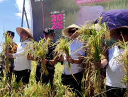 Jember Siapkan Strategi Pasang Target Lumbung Pangan Nasional