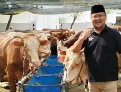 Posko Kurban Amanah RPH Surabaya: Target Kenaikan 5% Iduladha 2025