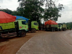 Pemilik Tambang Tanah di Maja-Koleang: DLH Lebak dan ESDM Banten Konflik?