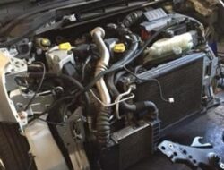 Tips Ampuh Mencegah Tikus Menggigit Kabel Mobil