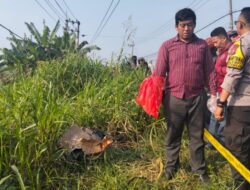 Kejadian Mayat Terbungkus Plastik di Gresik: Investigasi Terbaru