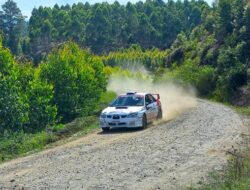 Mengapa Rally Group B Harus Dihentikan? Penjelasannya!