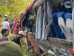 Kecelakaan Bus Rombongan RS Bina Sehat Jember di Jalur Bromo Probolinggo: Delapan Korban Tewas