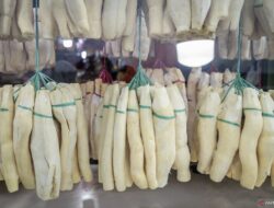 Manfaat dan Dampak Tape Singkong: 8 Hal Bagi Kesehatan
