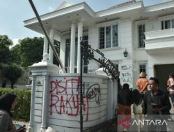 Kisah Anak Nakal: Curi Kucing dan Sofa di Rumah Uya Kuya