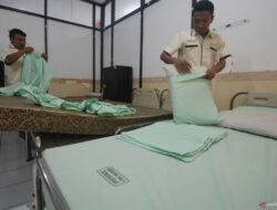 Mengapa Tempat Tidur Bisa Menjadi Sarang Kutu Kasur? Penyebabnya